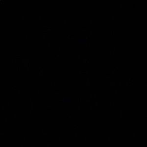 Meet your Posher, Jasmin